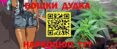шишки Нарткала