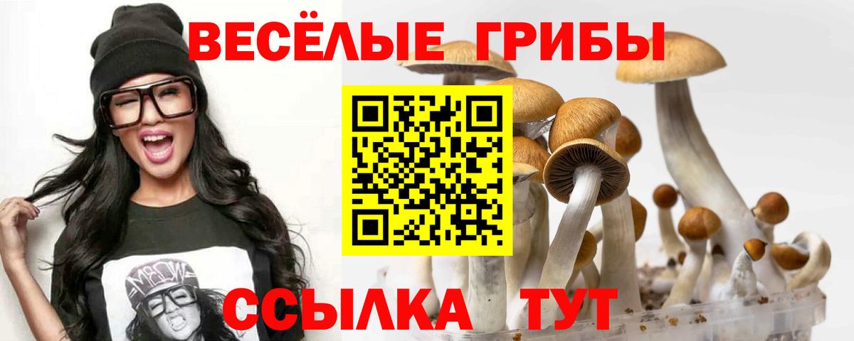 Галлюциногенные грибы Psilocybine cubensis  Галлюциногенные грибы прущие грибы  Ханты-Мансийск  цены наркотик  Вход с VPN 