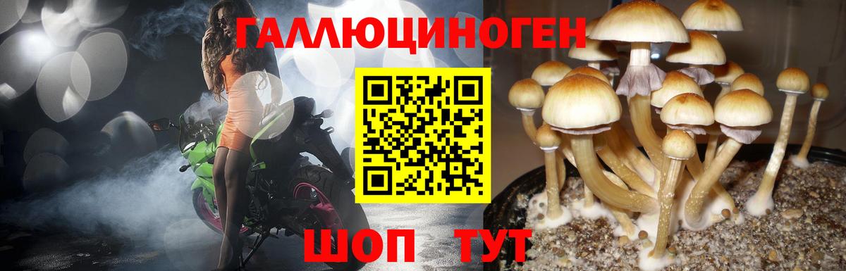 Псилоцибиновые грибы MAGIC MUSHROOMS Ханты-Мансийск